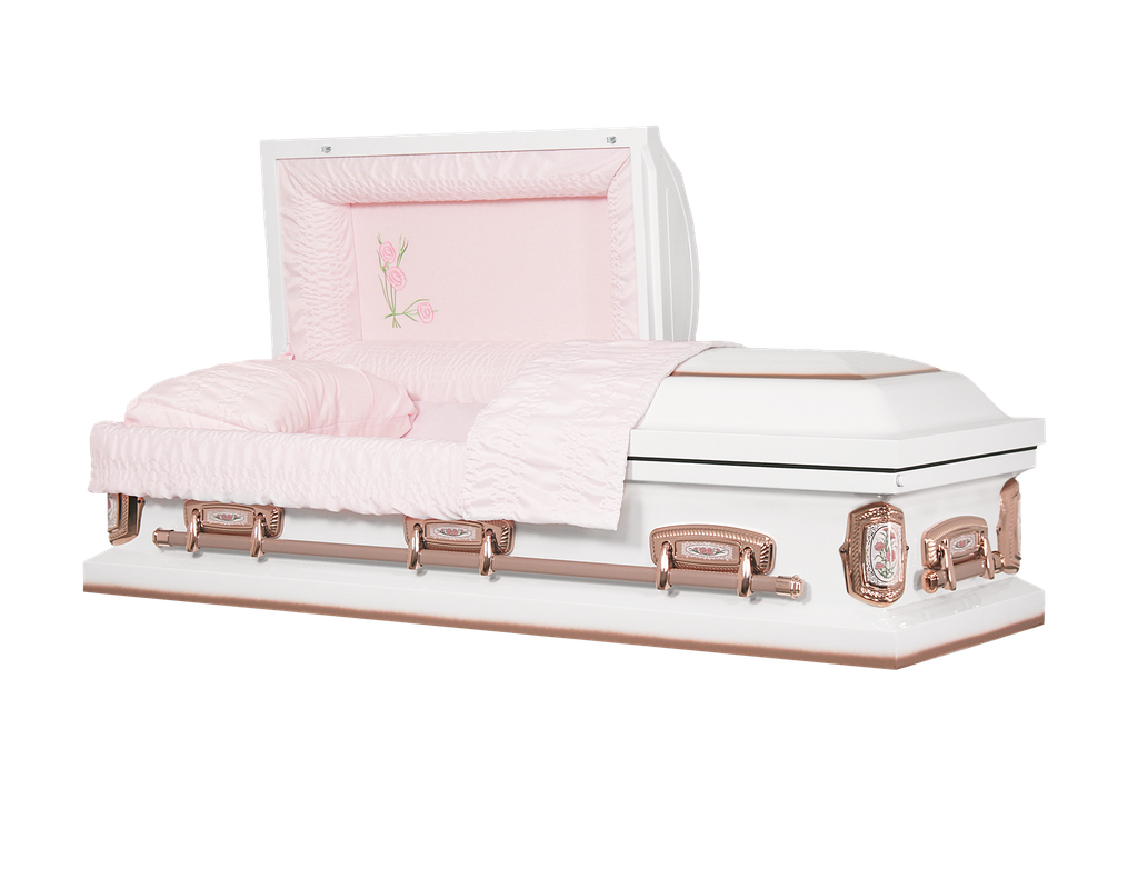 Carnation 